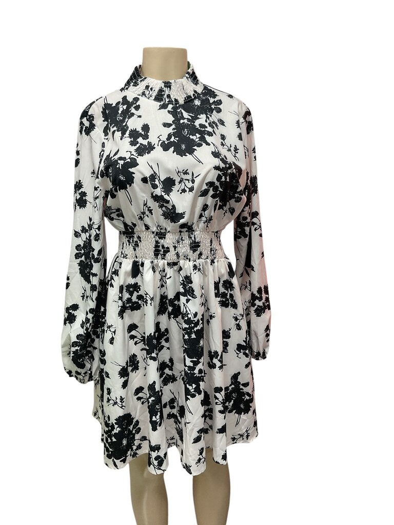 Salanta (Large) Black/White Dress