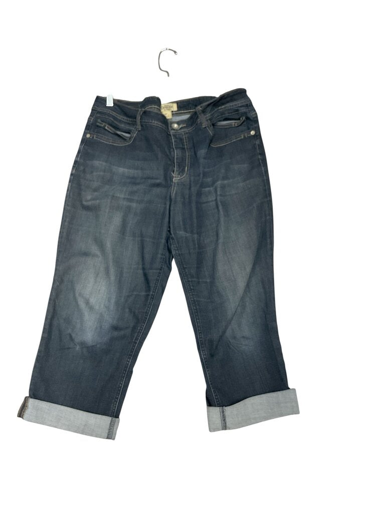 Declaration (14) of Democracy Denim Jeans