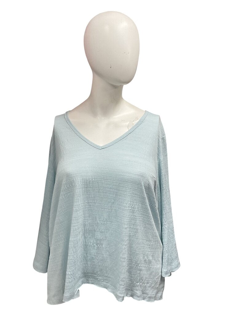Wonderly (2X) Blue Oversized Blouse
