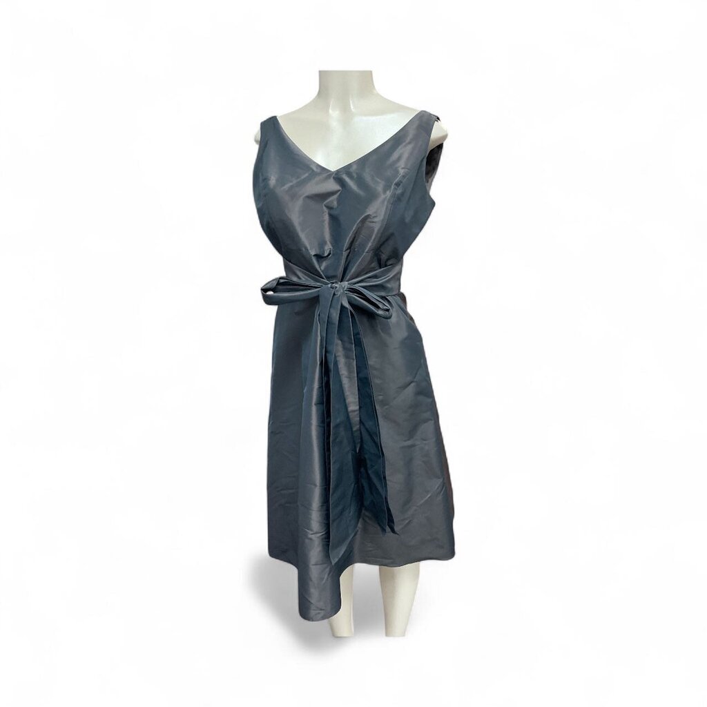 Ann (8) Taylor Brown Sleeveless Dress