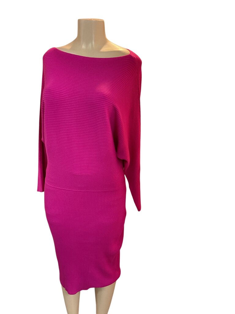 Express (Large) Fuschia Fitted Dress