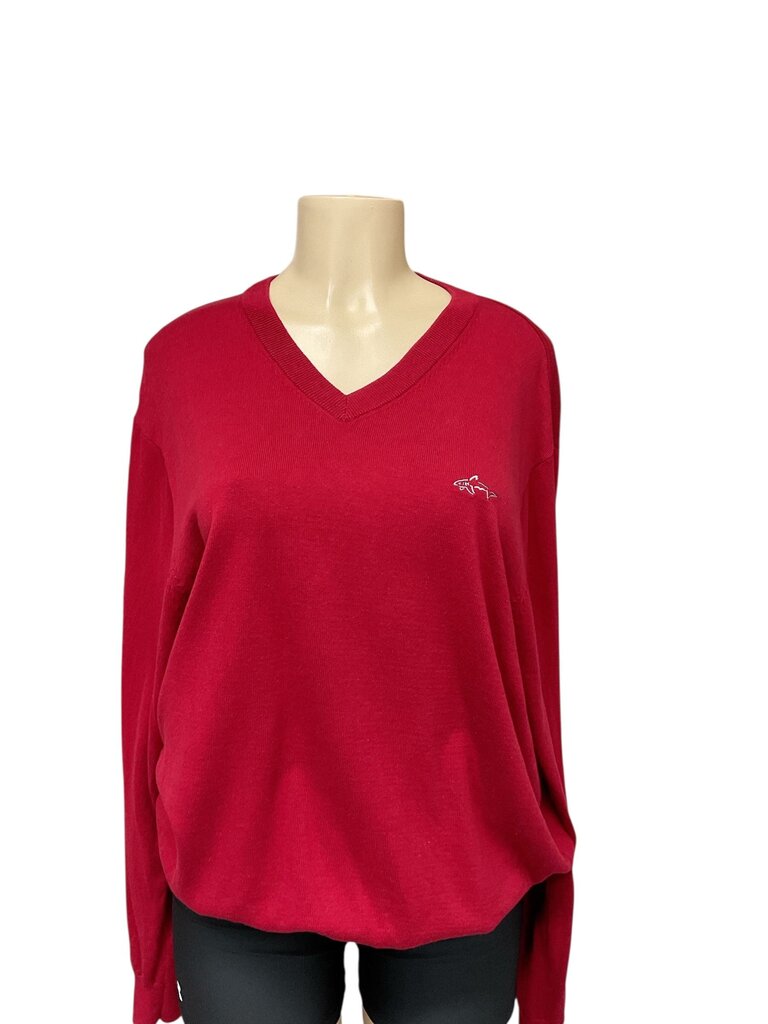 Greg (Large) Normal Red V Neck Sweater