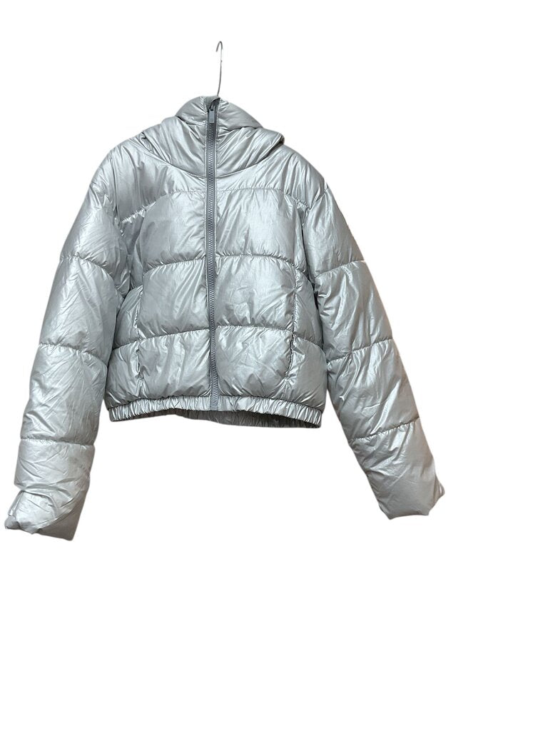 All in Motion (8) Silver Coat
