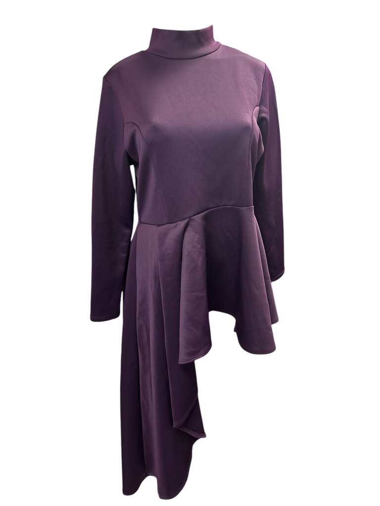 Sexy Diva Purple Long sleeve dress top