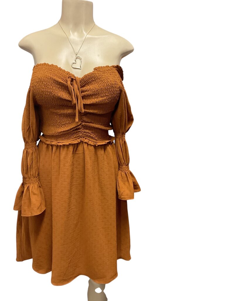 BCBG (Small) Camel Dress