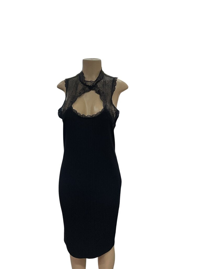 Black (1X) Sleeveless Fitted Dress