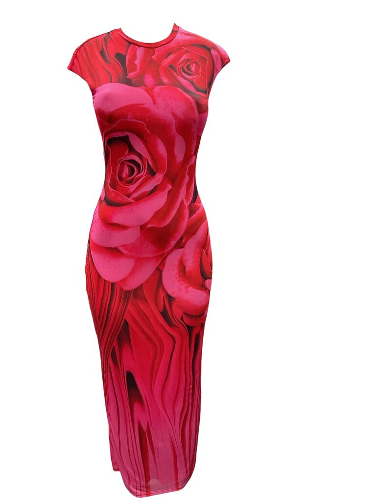 AFRM (Small) Red and Pink Form Fitted Dress