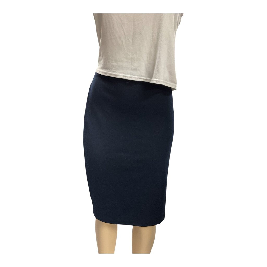 Philosophy (10) Blue Dress Skirt