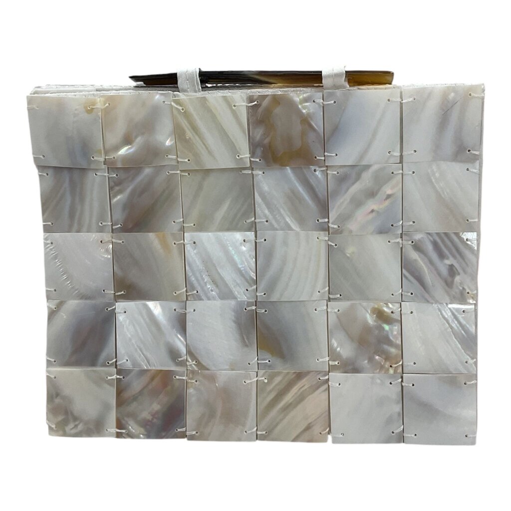 Vintage Mother of Pearl Clutch