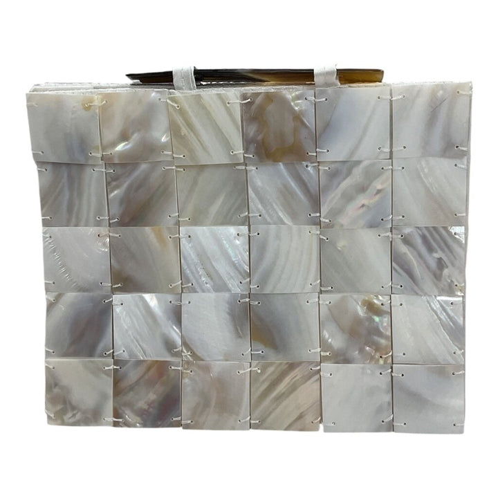 Vintage Mother of Pearl Clutch