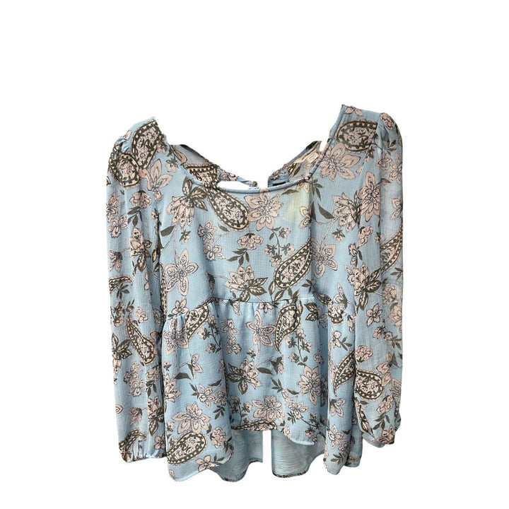American Eagle (Med) Blue and Pink LS Blouse